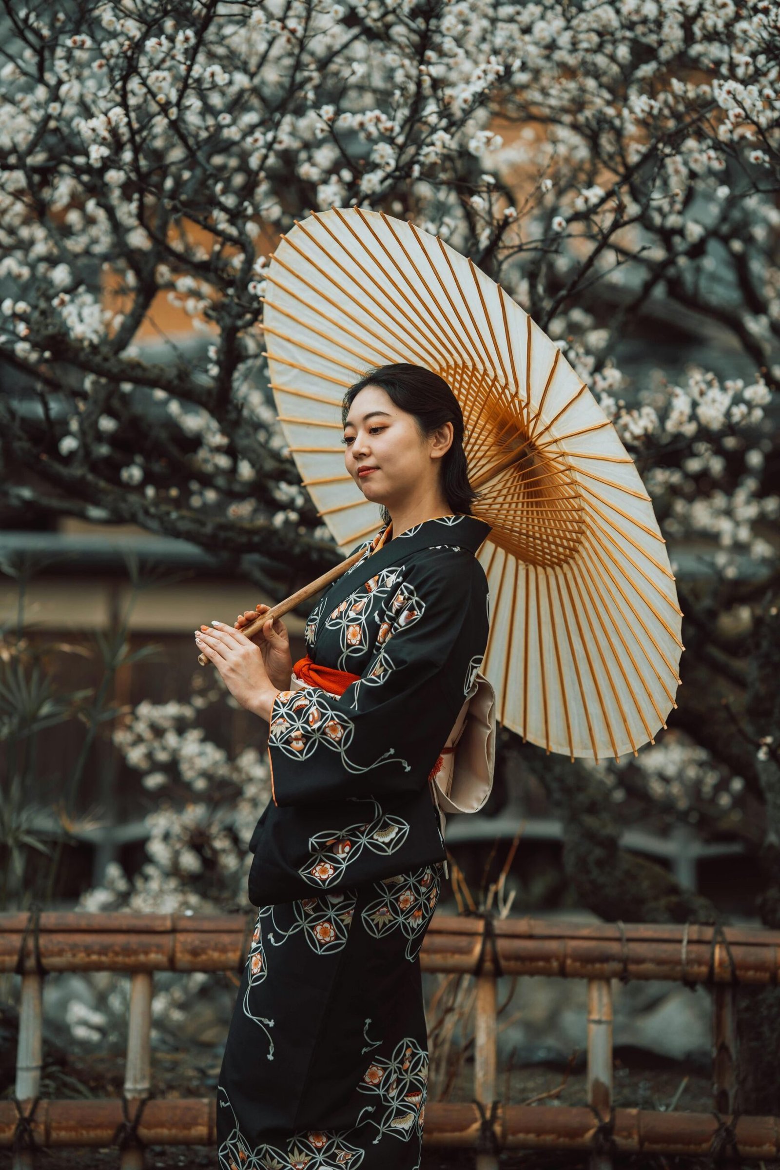 pexels photo 31203069